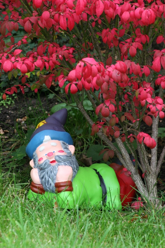 Garden gnome, Vessy Switzerland.jpg - Garden gnome